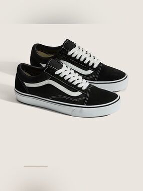 Vans Old Skool Shoes